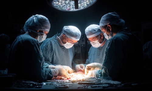 Heart Surgeries Performed